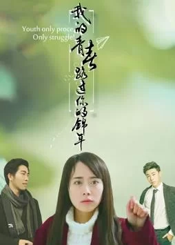 我的青春路过你的锦年海报