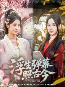 浮生弹幕照古今海报