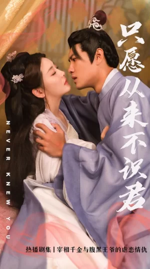 只愿从来不识君海报