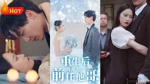 重生后我嫁给了前任他哥海报