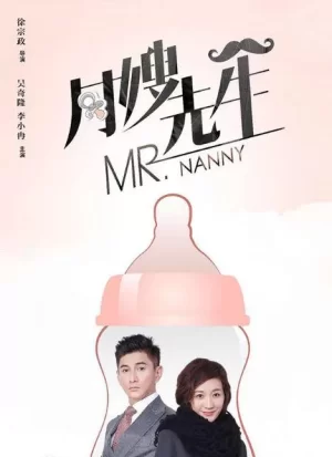 月嫂先生网络版海报