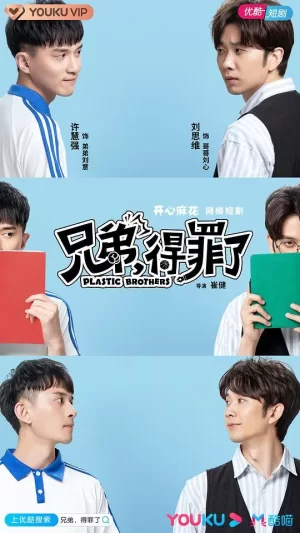 兄弟,得罪了海报