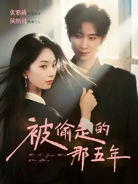 被偷走的那五年海报