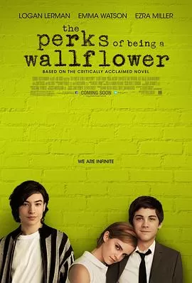 壁花少年ThePerksofBeingaWallflower[电影解说]海报