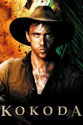 苦战科科达海报