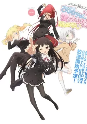 就算是哥哥有爱就没问题了对吧海报