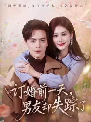 订婚前一天,男友却失踪了海报