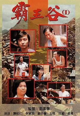 霸王谷(粤语)海报