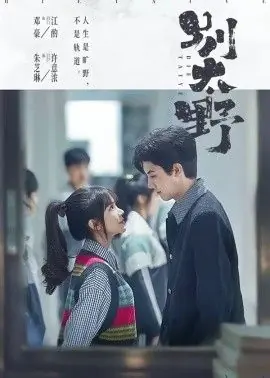 别太野海报