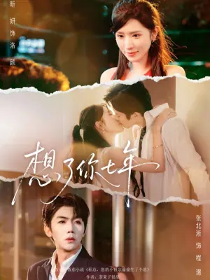 想了你七年海报