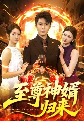 至尊神婿归来海报