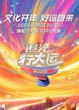 浙江卫视2025文化开年&middot;追光行大运海报