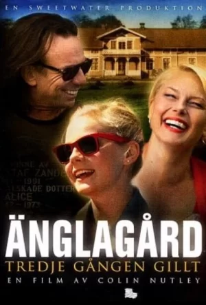 安格拉加德-第三次幸运海报