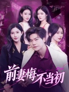 前妻悔不当初海报