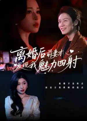 离婚后前妻才发现我魅力四射海报