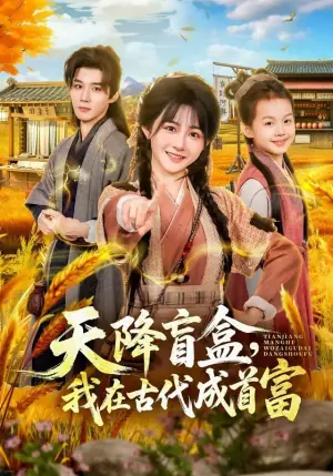 天降盲盒,我在古代成首富海报