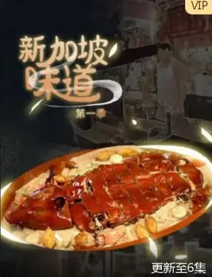 新加坡味道第一季海报