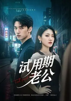 试用期老公海报
