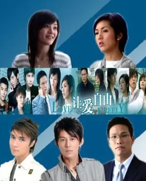 让爱自由海报