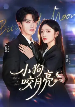 小狗咬月亮海报