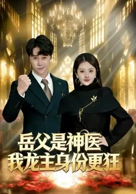 岳父是神医我龙主身份更狂海报