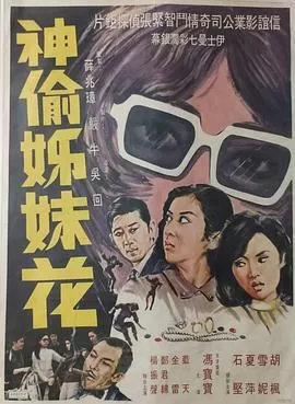 神偷姊妹花(粤语)海报