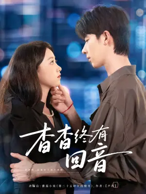 杳杳终有回音海报