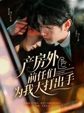 产房外,前任们为我大打出手海报