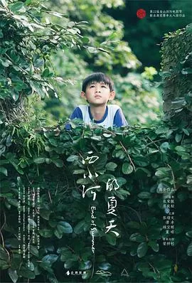 西小河的夏天海报