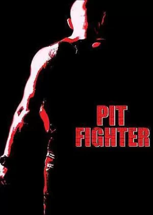 失忆格斗士海报