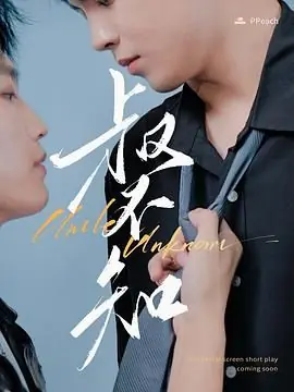 叔不知海报