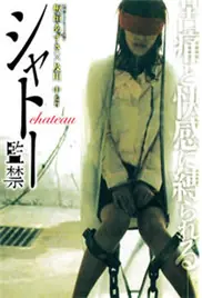 城堡监禁海报
