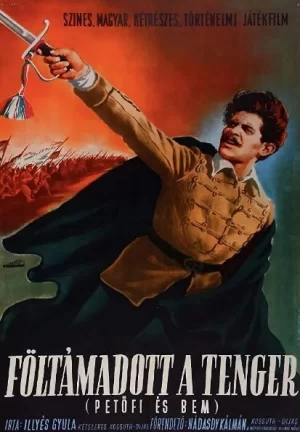 上升的海平面海报