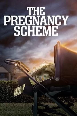 ThePregnancyScheme海报