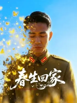 春生回家海报