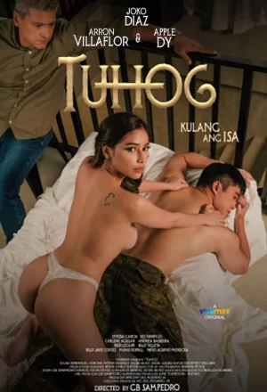 穿刺公媳情海报