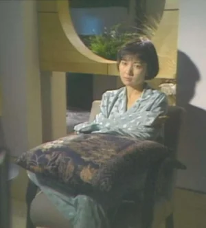 帝女情未了海报