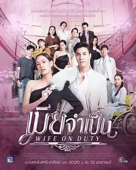 非婚不可(国语)海报