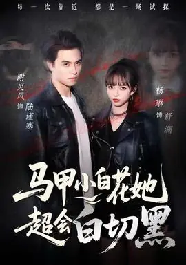 马甲小白花她超会白切黑海报