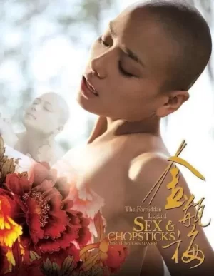 金瓶梅2之爱的奴隶海报