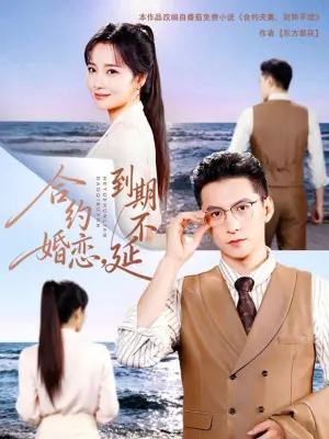 合约婚恋,到期不延海报