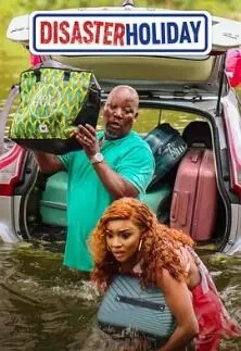 灾难级假期海报