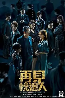 再见枕边人(国语)海报