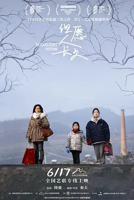 但愿人长久(秦天版)海报