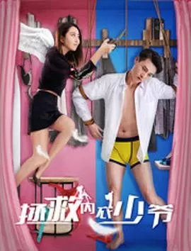 拯救内衣少爷海报