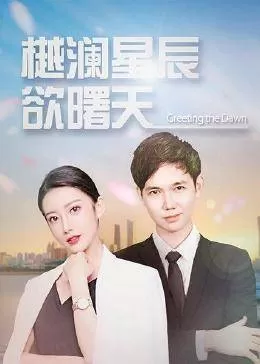 樾澜星河欲曙天海报