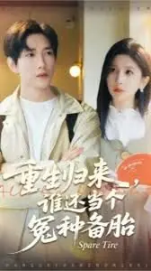 重生归来谁还当个冤种备胎海报