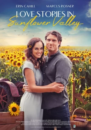 葵花谷的爱情故事海报