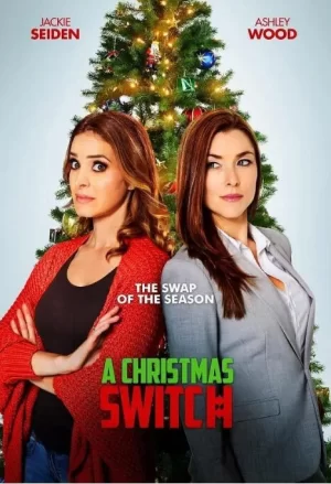 圣诞节开关海报