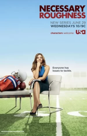 辣女队医第一季海报